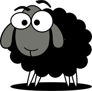 Story Behind The Design | Black Sheep