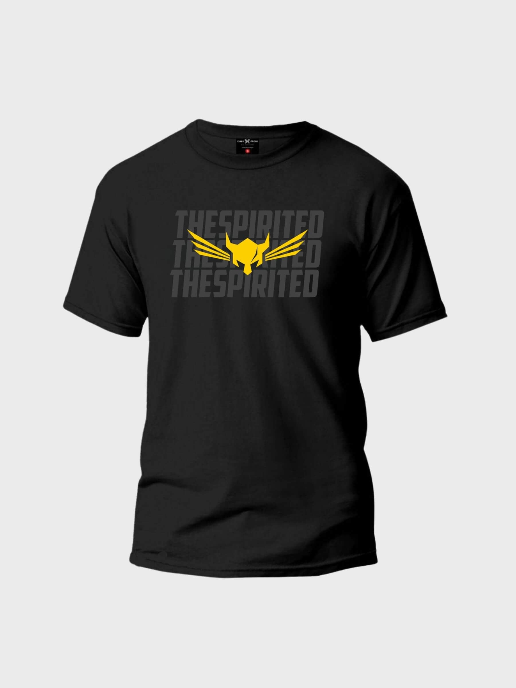 The Flying Viking T-Shirt